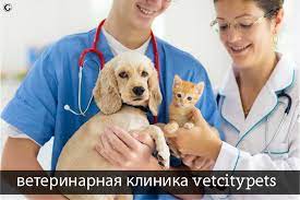 Ветеринарная клиника VetCityPets: A Comprehensive Guide